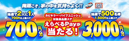 �~�J�����A�Ƃ̒����C�����悭�I�I�J�r�L���[�E�p�C�v���j�b�V���@�J�r�L���[�E�p�C�v���j�b�V���Ώۏ��i�w���ł���ׂ�PAY��������I