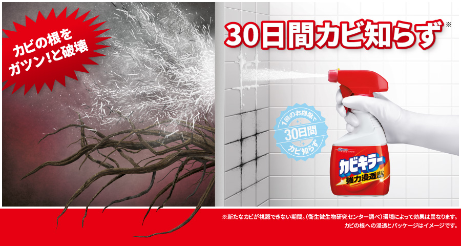 「カビキラー」で30日間カビ知らず