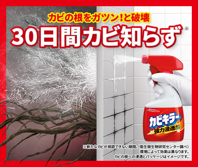 「カビキラー」で30日間カビ知らず