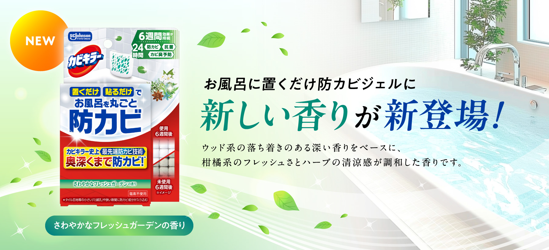 V肪VoI