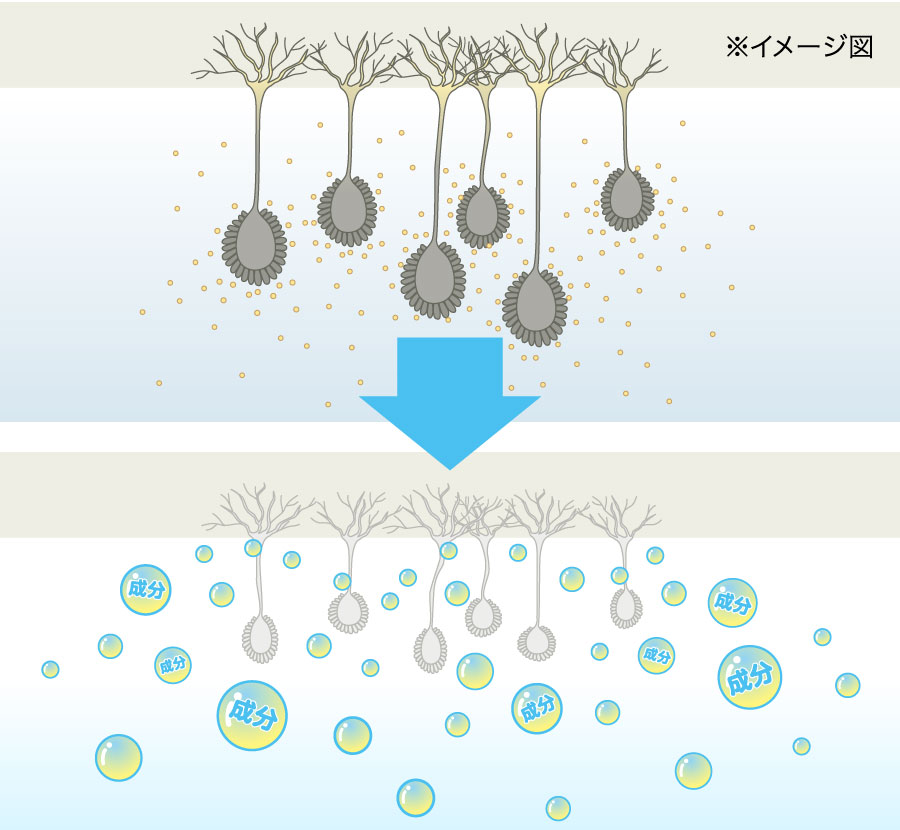 防ぐカビキラー｜カビキラー｜ジョンソン株式会社