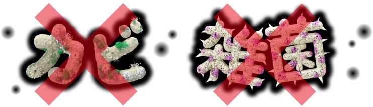 �J�r�E�q�����������ۗ�99.9%